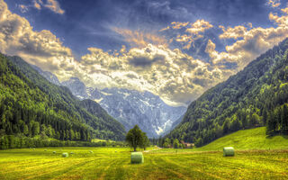©Dario Barukcic