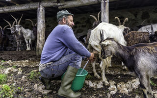 ©Mauro Bertolini